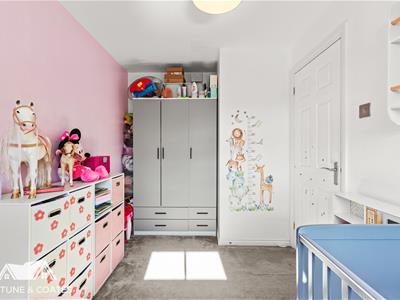 Picture 12